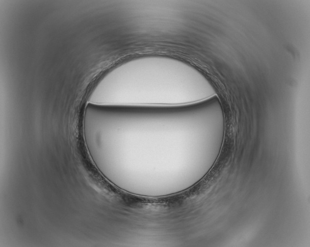 X0000113070303200908281016