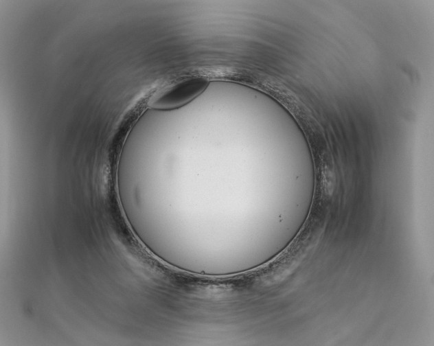 X0000113070304200908281016