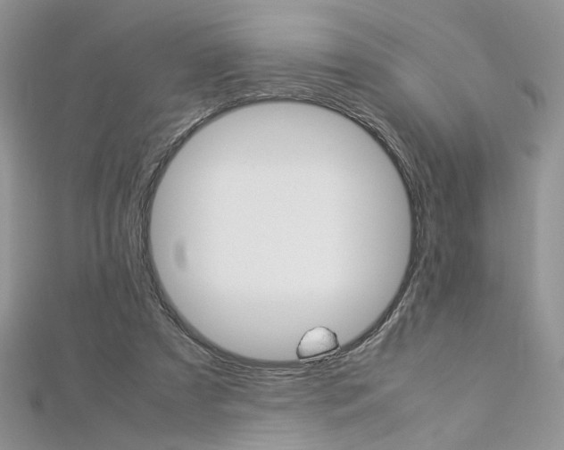 X0000113070305200908281016