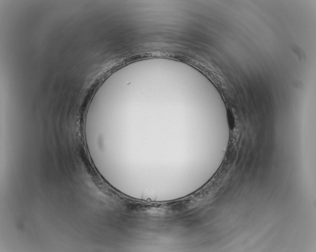 X0000113070306200908281016