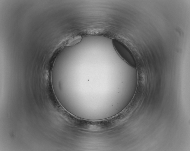 X0000113070308200908281016