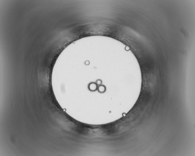 X0000113070309200908281016