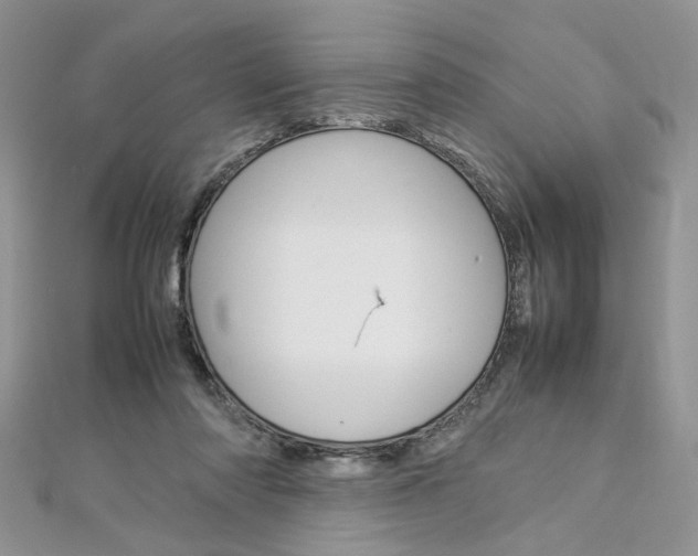 X0000113070310200908281016
