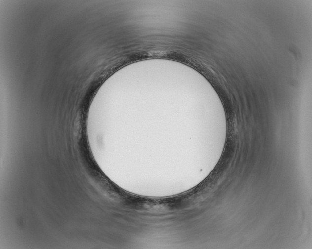 X0000113070311200908281016