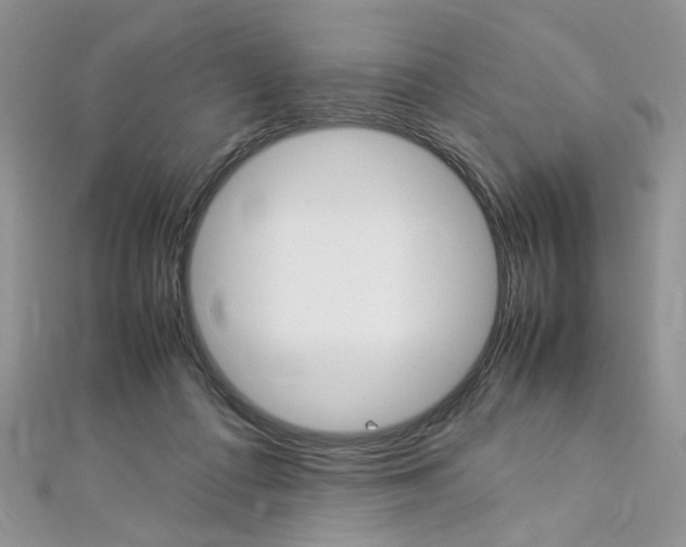 X0000113070312200908281016