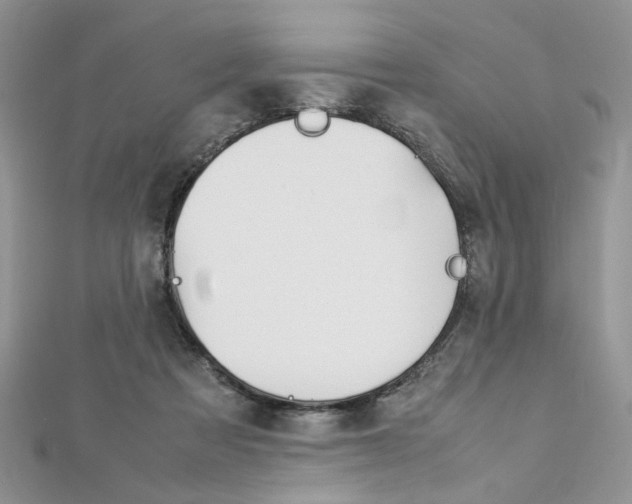 X0000113070313200908281016