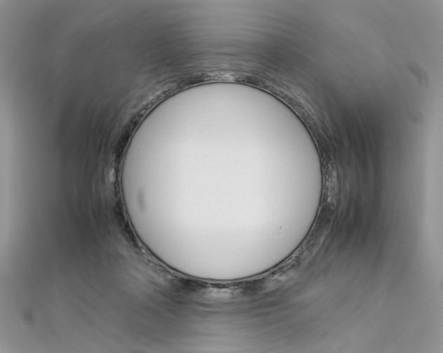 X0000113070314200908281016