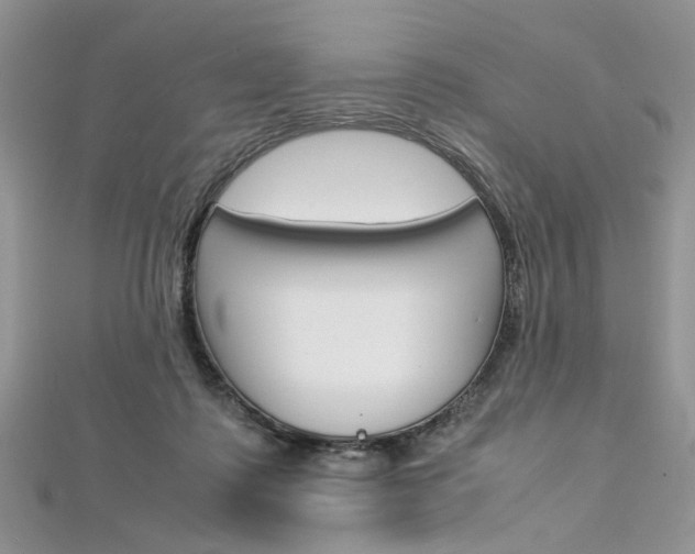 X0000113070315200908281016