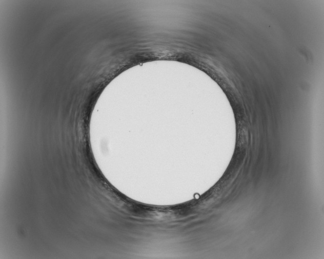 X0000113070317200908281016