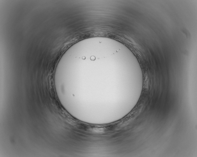 X0000113070318200908281016
