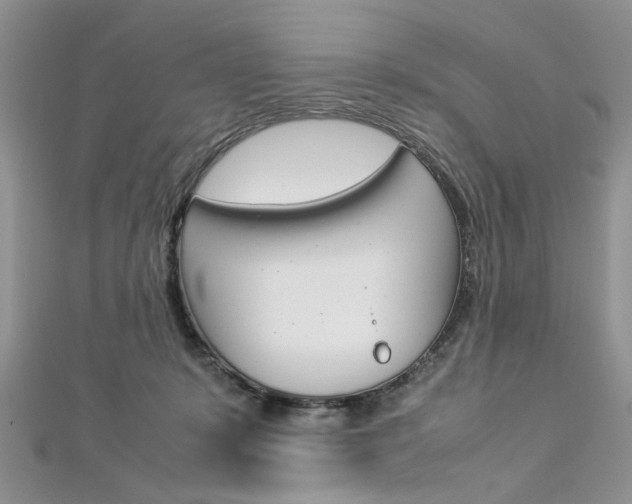 X0000113070319200908281016