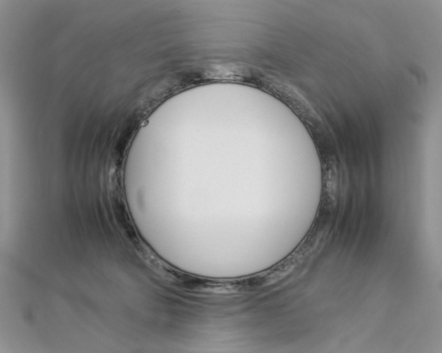 X0000113070322200908281016