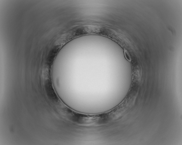 X0000113070323200908281016