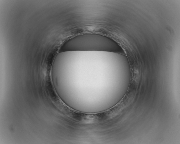 X0000113070324200908281016