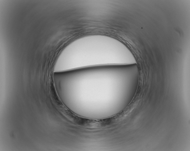 X0000113070325200908281016