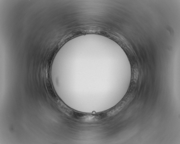 X0000113070326200908281016