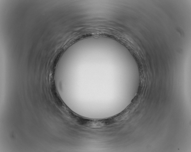 X0000113070327200908281016