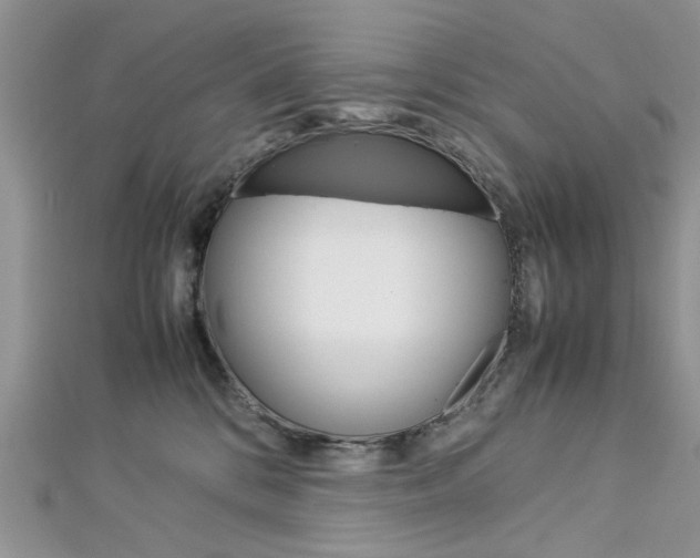 X0000113070328200908281016