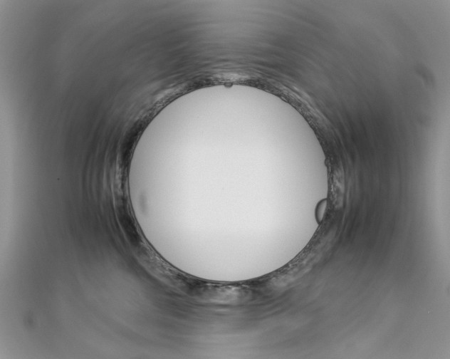 X0000113070330200908281016