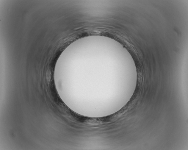 X0000113070331200908281016