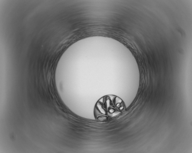 X0000113070332200908281015