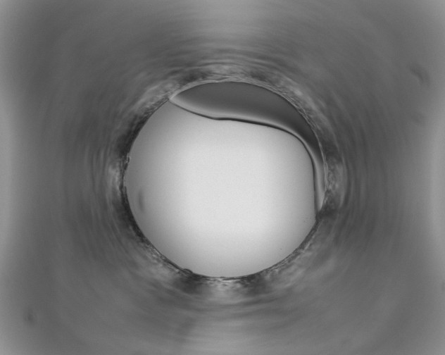 X0000113070333200908281015