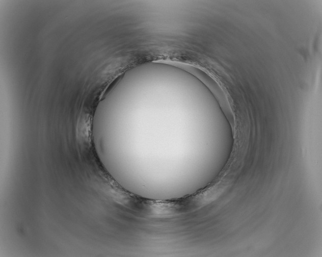 X0000113070336200908281015