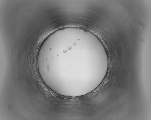 X0000113070337200908281015