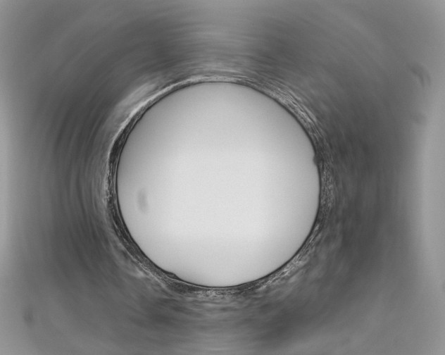 X0000113070338200908281015