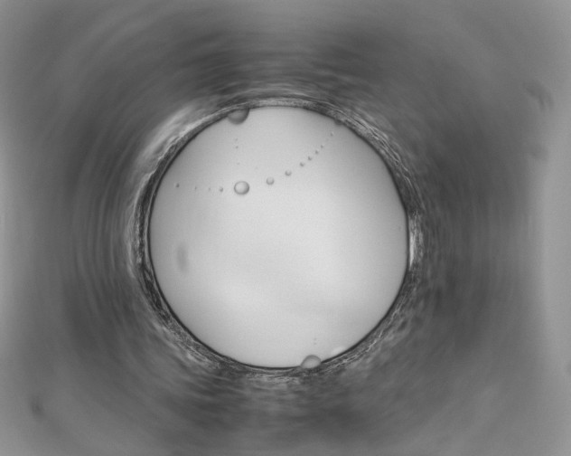 X0000113070339200908281015
