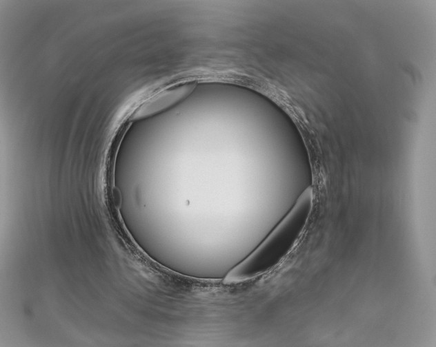X0000113070340200908281015