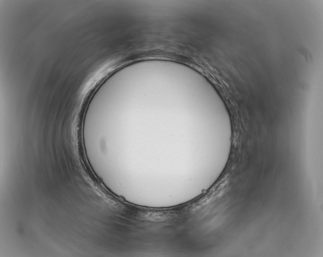 X0000113070341200908281015