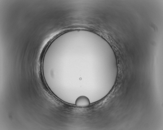 X0000113070342200908281015