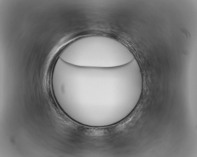 X0000113070343200908281015