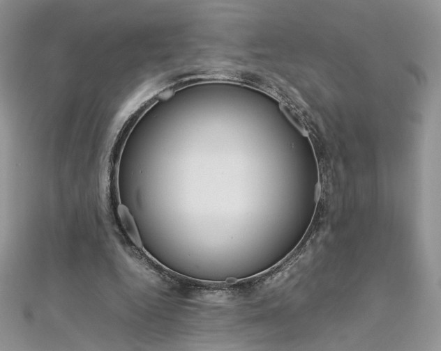 X0000113070344200908281015