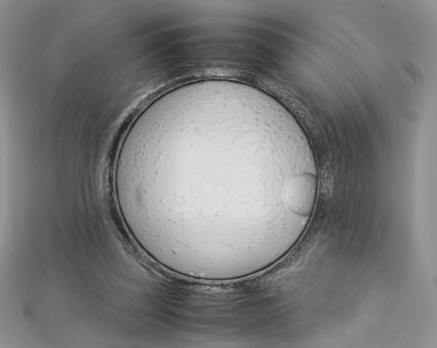 X0000113070347200908281015