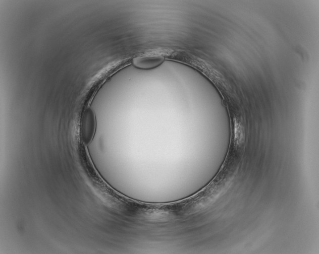 X0000113070348200908281015