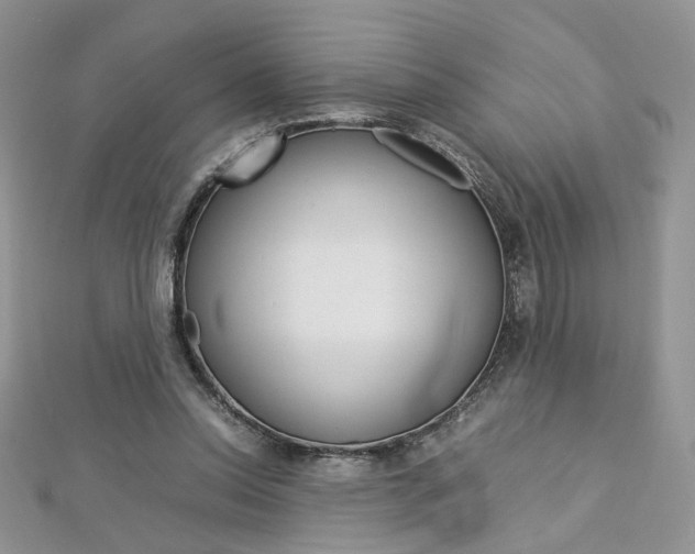 X0000113070350200908281015