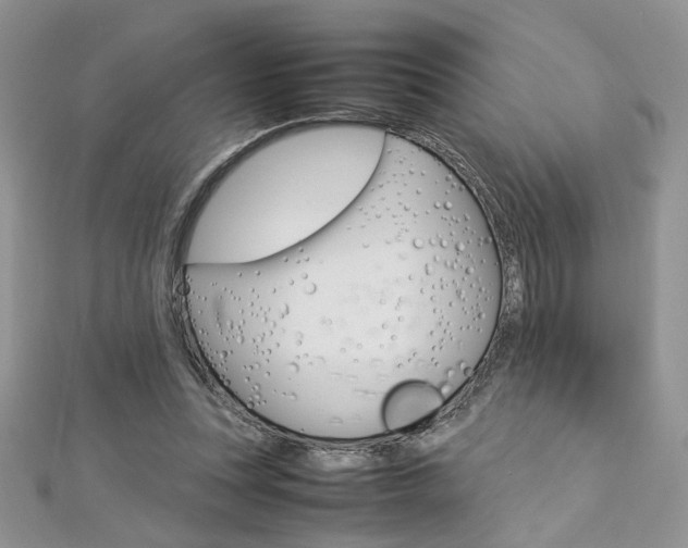 X0000113070351200908281015