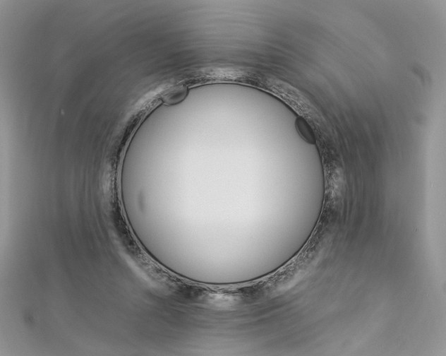 X0000113070352200908281015