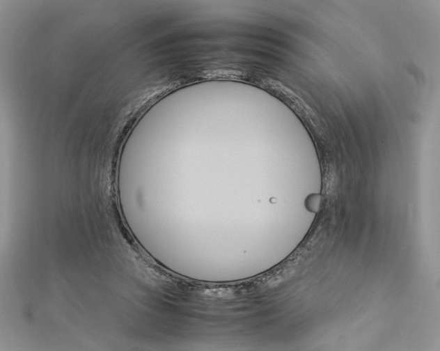 X0000113070353200908281015