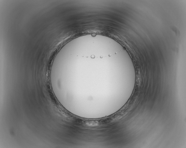X0000113070355200908281015