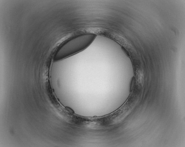 X0000113070356200908281015
