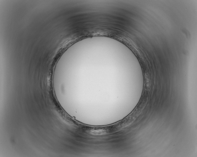 X0000113070357200908281015