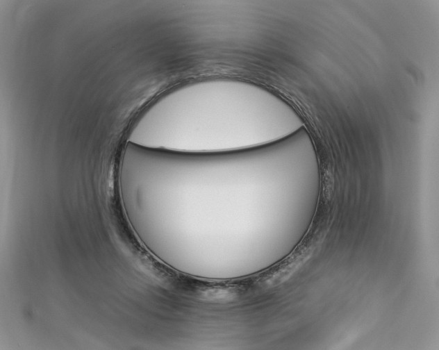 X0000113070358200908281015