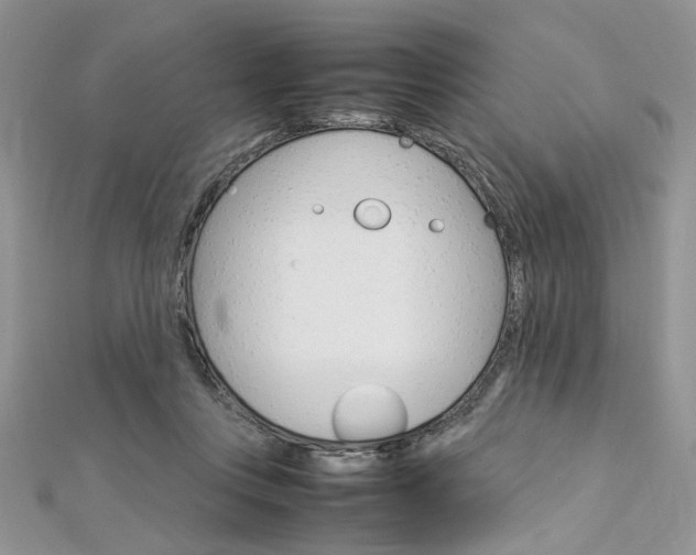 X0000113070359200908281015