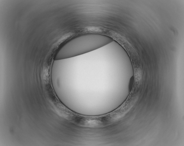 X0000113070360200908281015