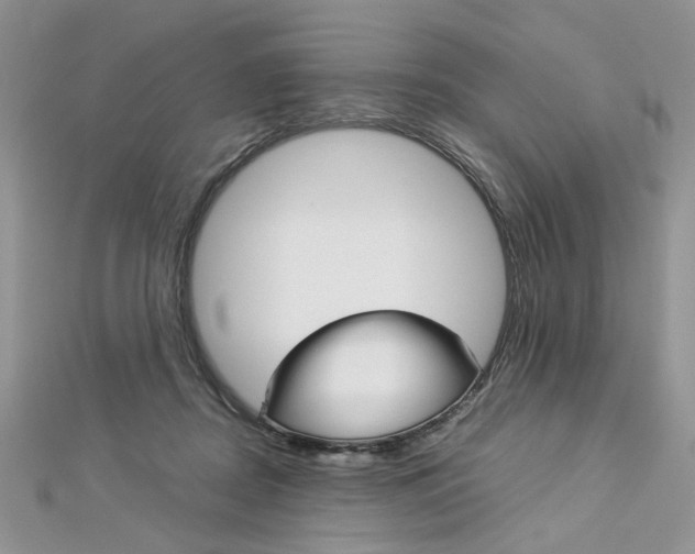 X0000113070362200908281015