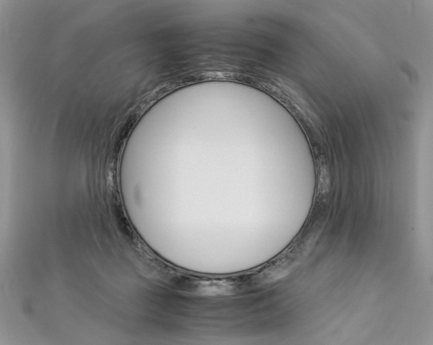 X0000113070363200908281015