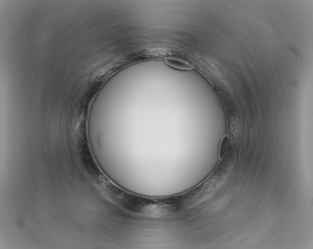X0000113070364200908281015